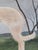 Antique 19th Century Oil Painting Portrait of a Saluki Dog For Sale - Image 9 of 17