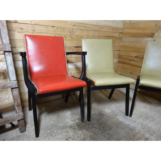 1950s Ebonised Dining Chairs from Stako, 1950s, Set of 4 For Sale - Image 5 of 15