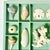 Late 20th Century Vintage Coastal Boho Chic Seashell Collection, Sage Divided Shadowbox Decorative Object For Sale - Image 5 of 9