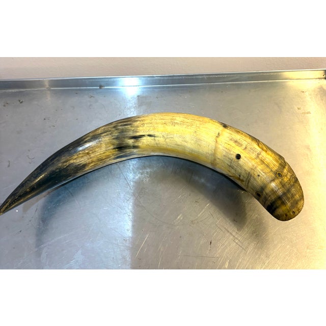 Carved Horn Fish Sculpture For Sale - Image 4 of 5