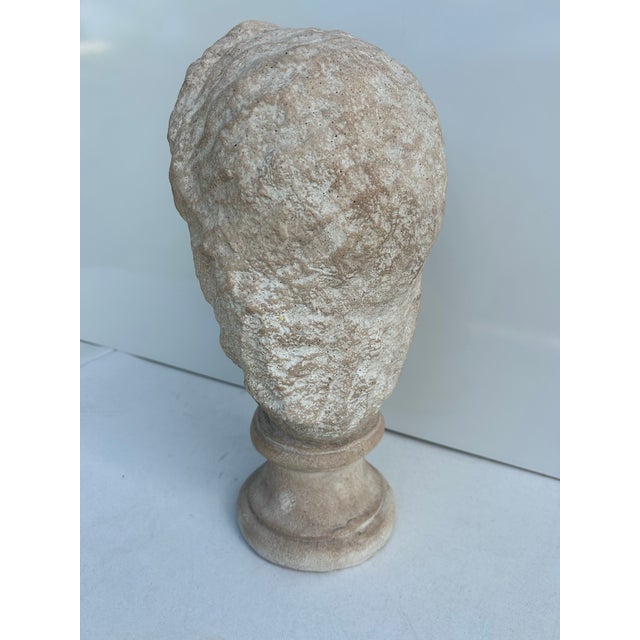 Sculpture Materials Vintage Greco Roman Style Plaster Bust For Sale - Image 7 of 11