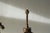There's a moment just before a bundle of reeds is tied off, when the stems fan outward under their own weight, still...