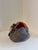 Contemporary Contemporary Abstract Fungus Geodes by Lynn Basa For Sale - Image 3 of 4