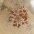 1960s 1960s Spanish Painted Ceramic Bowl For Sale - Image 5 of 8