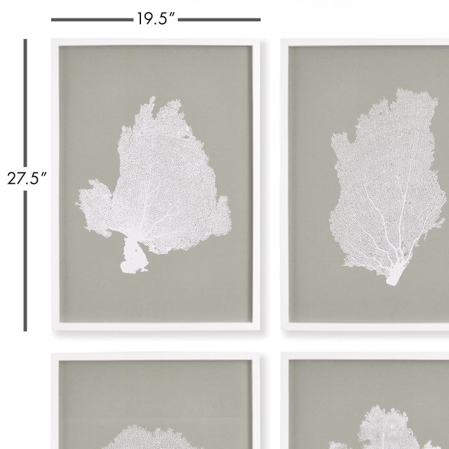 With a background of soft gray taupe, these coral forms pop dramatically off the page. The clean and simpleWhite frames...