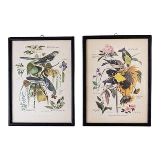 Pair of Framed Bird and Botanical Prints by Arthur Singer Mockingbird and Goldfinch For Sale