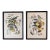 Pair of Framed Bird and Botanical Prints by Arthur Singer Mockingbird and Goldfinch For Sale