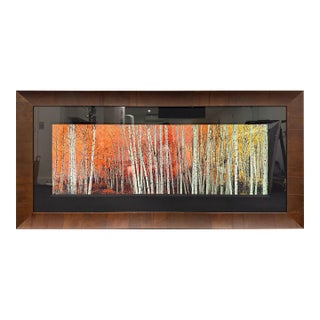 Peter Lik “Harmony” — Artist’s Proof Ap 44/45 | Large Framed Fine Art Photograph For Sale