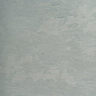 SAMPLE - Schumacher Drifting Cloudscape Wallpaper In Mist For Sale