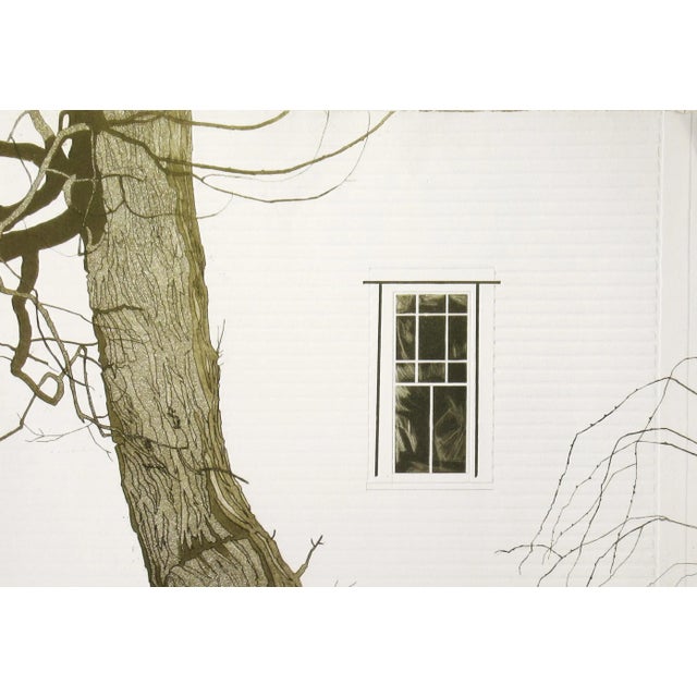Modern Tessa Beaver, New England Locust Tree, Circa 1980 For Sale - Image 3 of 10