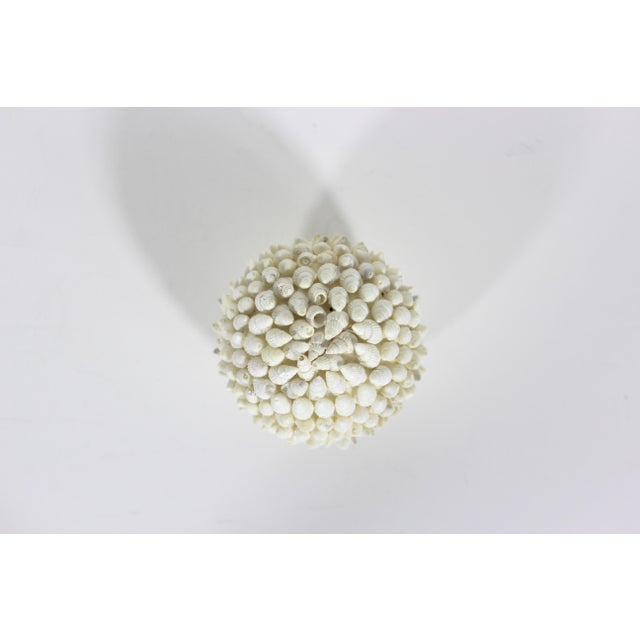Cabin Vintage Decorative Shell Ball Sphere For Sale - Image 3 of 6