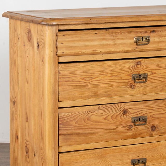 Brown 19th Century Four Drawer Pine Chest of Drawers, Denmark For Sale - Image 8 of 13