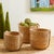 Early 21st Century Seagrass Round Drum Baskets, Set Of 3 For Sale - Image 5 of 8