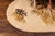 Late 20th Century Full-Body Wild Turkey Taxidermy Mount in Strutting Display For Sale - Image 5 of 9