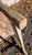 18th or 19th Century Rustic Primitive Farmhouse Table in Old Green Paint For Sale - Image 17 of 18