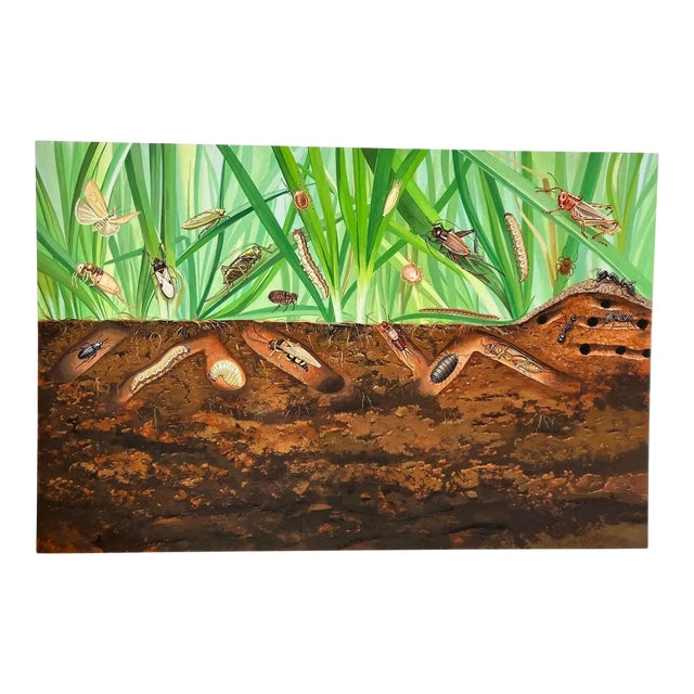 Original Ecotoxicology Illustration "Creepy Crawly Pop-Art" Circa 1981 Bugs Insects For Sale