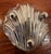Victorian Late 19th Century Victorian English Sterling Silver Petite Bowl in Charming Oneida Shell Shape For Sale - Image 3 of 6