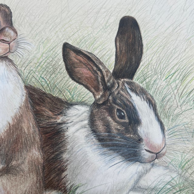 1970s 1970’s Original Rabbits in Field Colored Pencil Drawing For Sale - Image 5 of 7