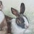 1970s 1970’s Original Rabbits in Field Colored Pencil Drawing For Sale - Image 5 of 7