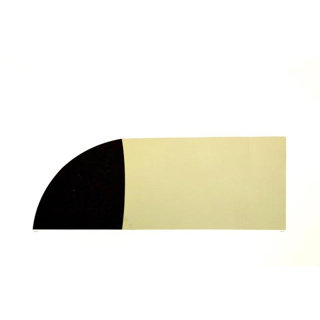 1970s Alberto Burri, Bianchi e Neri II (Acetates), Plate F, 1970, Mixed Media For Sale - Image 5 of 5