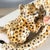 Ceramic Leopard with Cub from Ronzan For Sale - Image 4 of 9