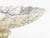 Neoclassical Italian Neoclassical Style Alabaster Tazza For Sale - Image 3 of 8