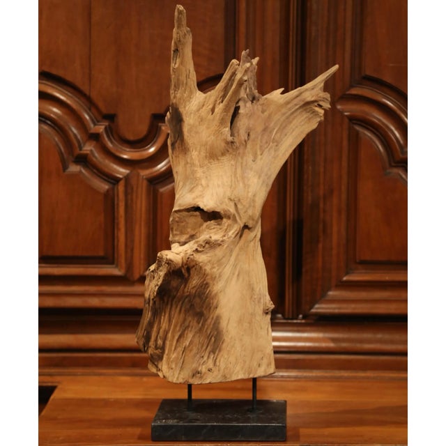 Vintage Driftwood Sculpture on Green Marble Base For Sale - Image 4 of 7