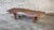 Vintage Primitive Live Edge Bench Rustic For Sale - Image 15 of 18