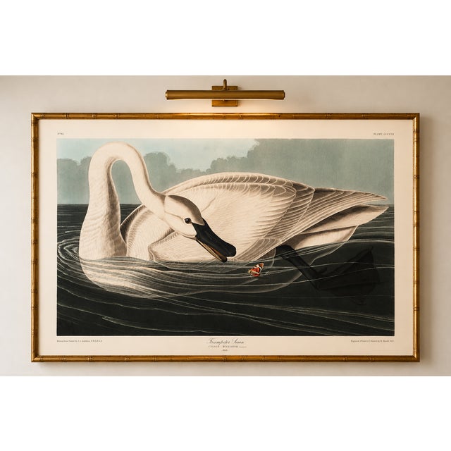 Not Yet Made - Made To Order Trumpeter Swan, 1827 – John James Audubon Vintage Bird Art Print, 20" X 30" For Sale - Image 5 of 7