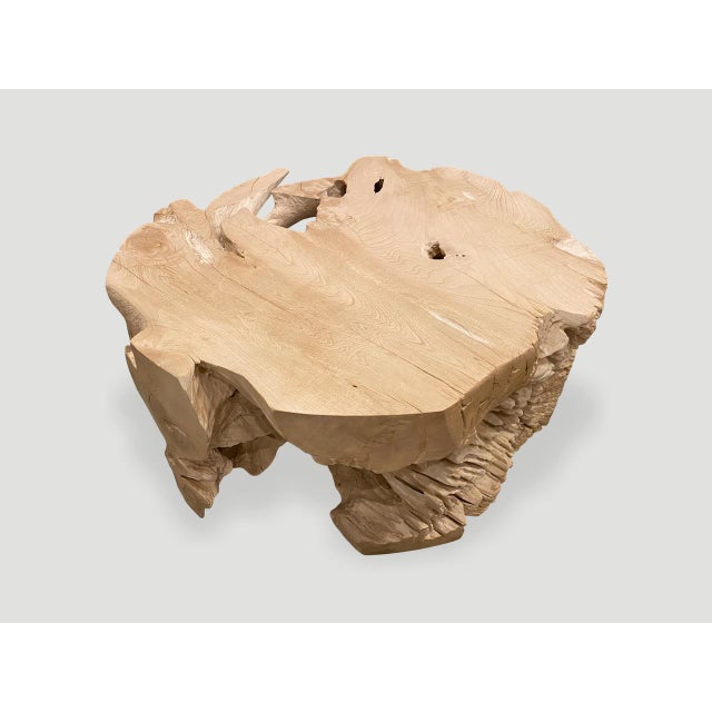 Andrianna Shamaris Organic Bleached Teak Wood Coffee Table or Side Table For Sale - Image 12 of 18