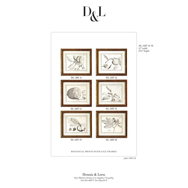Dennis & Leen Botanical Print With Gilded Frame – DL-Art 35 For Sale - Image 10 of 10