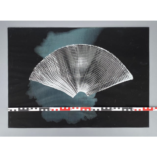 Heinz Mack, Wings and Cloud, 1972, Screen Print For Sale - Image 11 of 12