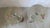 Late 20th Century Vintage Hand-Painted Tropical Parrot & Floral Champagne Flutes - Pair For Sale - Image 5 of 9