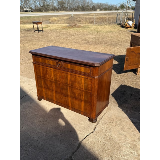 19th Century Louis Philippe Chest of Drawer / Commodes For Sale - Image 6 of 12