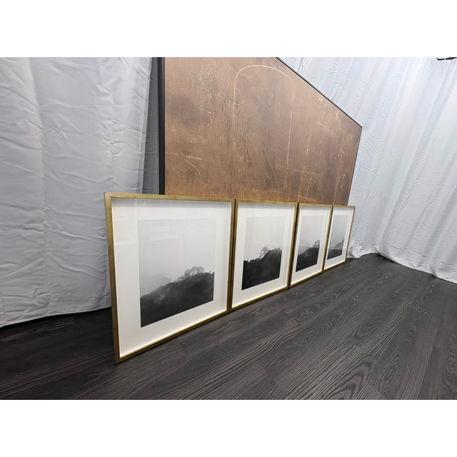 Rh Kate Schermerhorn “Hidden Detail” Art Collection – Complete Set of 4 For Sale - Image 10 of 18