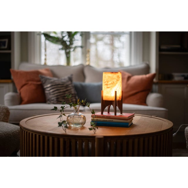 Contemporary Comet Classic Sienna Table Lamp by Material Lights For Sale - Image 3 of 10