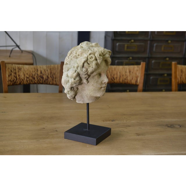 Sculpture of a Head, 19th Century, Reconstituted Stone For Sale - Image 5 of 12