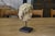 Sculpture of a Head, 19th Century, Reconstituted Stone For Sale - Image 5 of 12