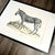 Bring timeless elegance to your home with this beautifully framed vintage “Das Zebra” print after renowned Swiss natural...