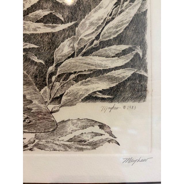 j.d. Mayhew Gray Whales and Kelp 1983 Limited Edition Etching Print, Signed and Numbered For Sale - Image 9 of 10