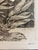 j.d. Mayhew Gray Whales and Kelp 1983 Limited Edition Etching Print, Signed and Numbered For Sale - Image 9 of 10