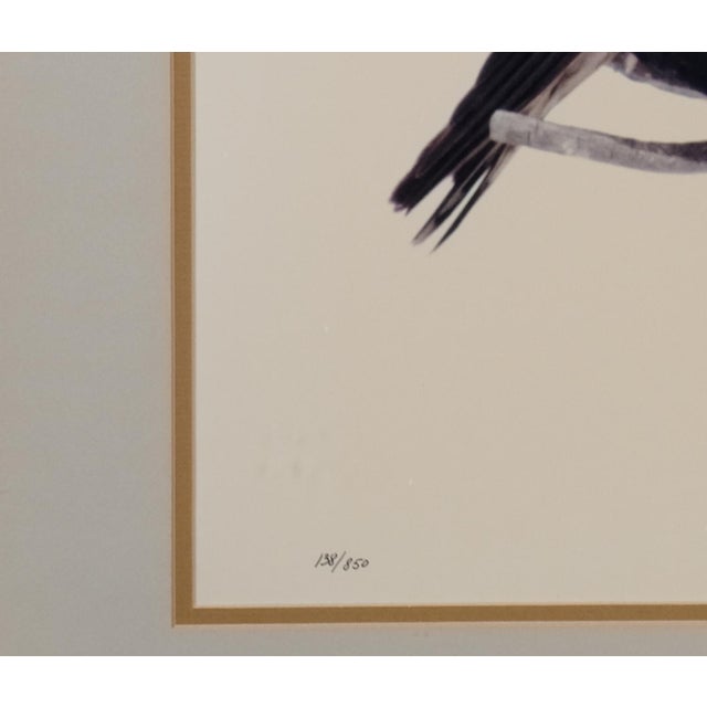 Realism 1984 Thomas D. Mangelsen "American Kestrels" Hand Signed and Numbered Limited Edition 138/850 Framed & Matted Color Photograph For Sale - Image 3 of 5