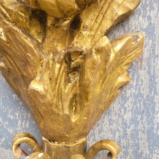 Large Gilded Wood Sconces, Set of 2 For Sale - Image 12 of 18