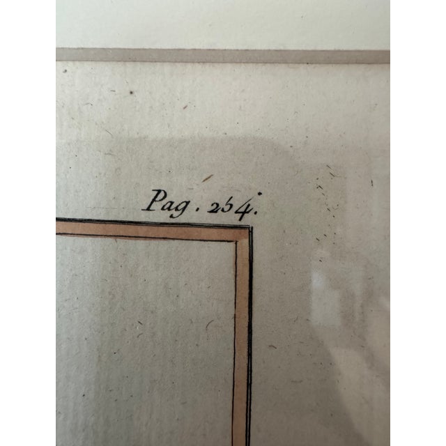 18th Century French Hand-Colored Botanical Pear Engravings – “Bezy De Quessoy” & “Messire-Jean” – Framed Pair For Sale - Image 4 of 12