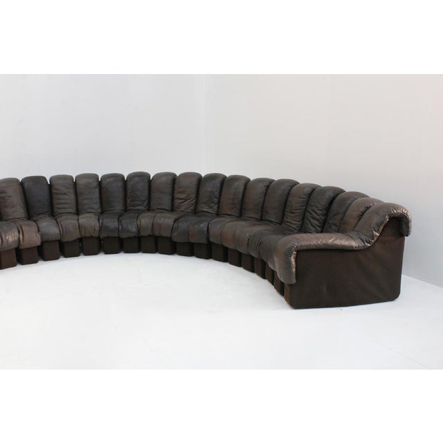 Vintage DS-600 Non Stop Snake Sofa from de Sede, 1970s, Set of 22 For Sale - Image 6 of 14