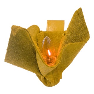 Wall Lamp by Dario Nasuti For Sale