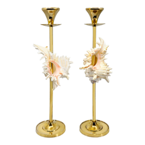 Brass Candlesticks Shells 16.5" Pair
