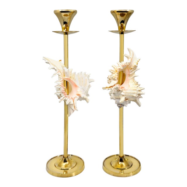 Brass Candlesticks Shells Seashells Pair For Sale