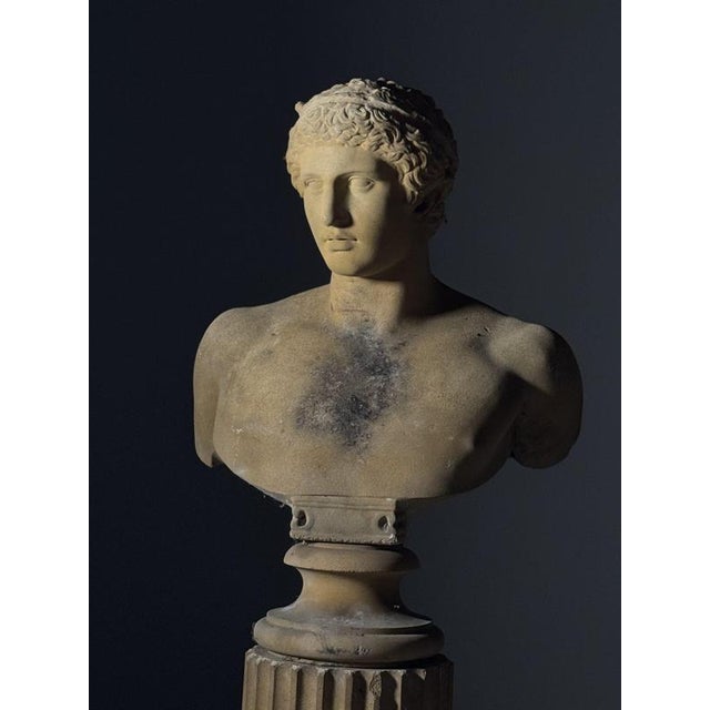 Unknown, Antinous Bust on pedestal, 20th Century, Stone For Sale - Image 16 of 18