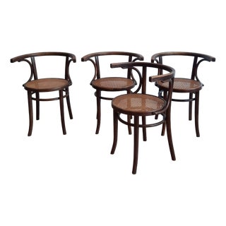 Bentwood Dining Chairs with Rattan Seats from Cosmos, 1930s, Set of 4 For Sale
